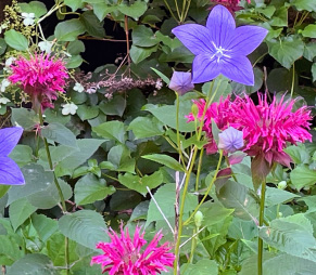 Image for website front